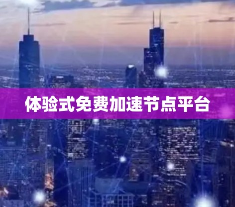 体验式免费加速节点平台
