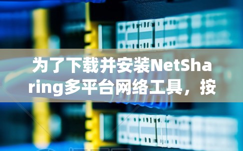 为了下载并安装NetSharing多平台网络工具，按照以下步骤进行