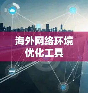 海外网络环境优化工具 海外网络环境优化工具
