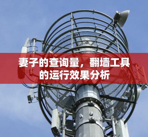 妻子的查询量,翻墙工具的运行效果分析