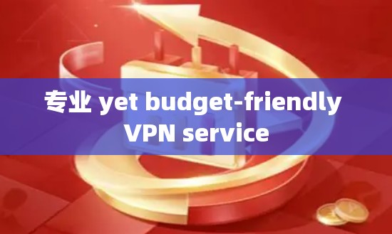 专业 yet budget-friendly VPN service