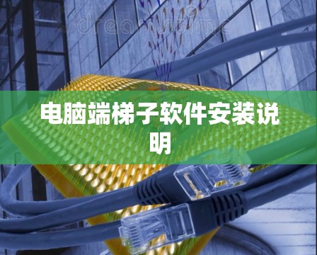 电脑端<strong>梯子</strong>软件安装说明