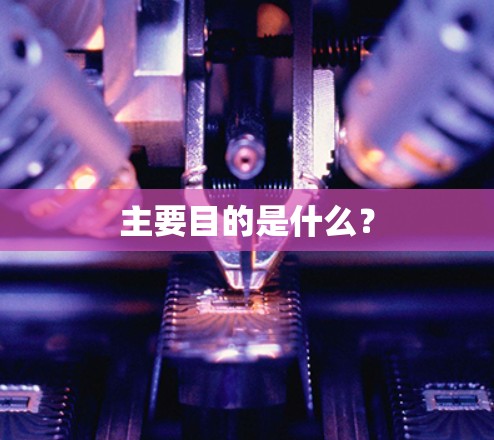 主要目的是什么?