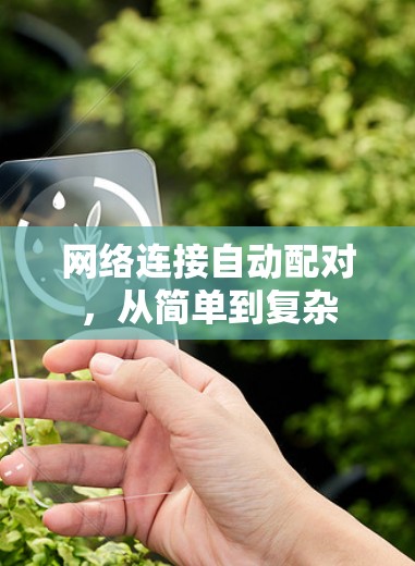 网络连接自动配对，从简单到复杂