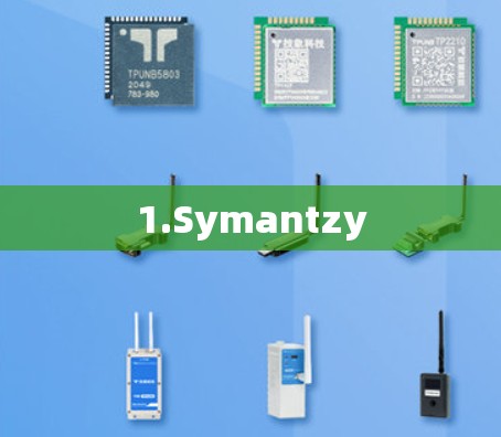 1.Symantzy