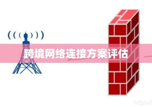跨境网络连接方案评估
