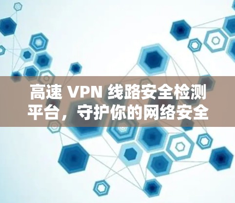高速 VPN 线路安全检测平台，守护你的网络安全