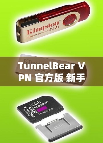 TunnelBear VPN 官方版 新手VPN安装教程