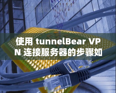 使用 tunnelBear VPN 连接服务器的步骤如下