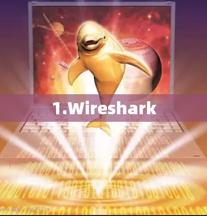 1.Wireshark