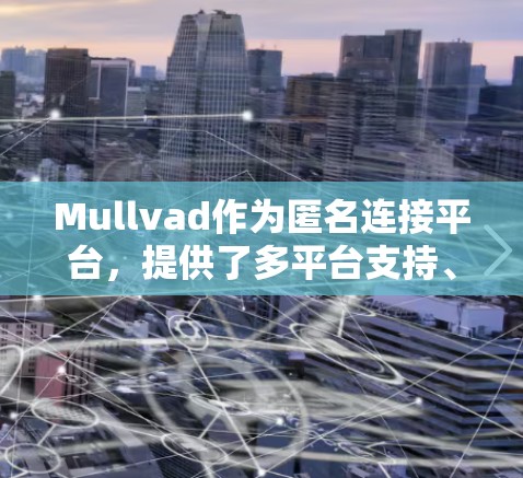 Mullvad作为匿名连接平台，提供了多平台支持、友好的用户界面和全面的隐私保护措施，整体上是一个不错的选择。然而，如果有特定的用户群体需求或隐私保护需求，可能需要进一步优化