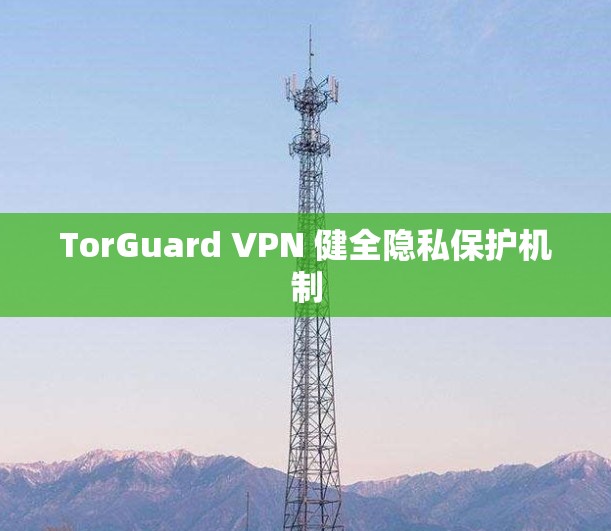TorGuard VPN 健全隐私保护机制 TorGuard VPN 健全隐私保护机制