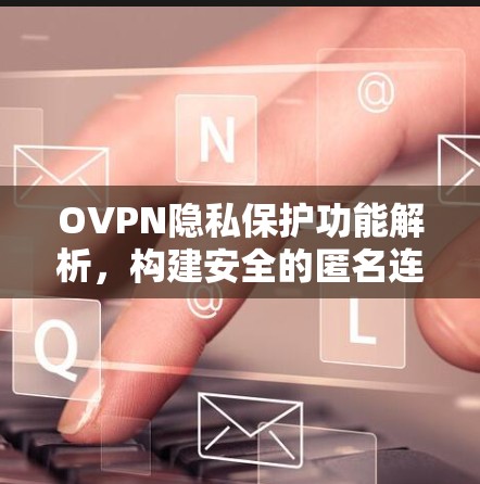 OVPN隐私保护功能解析,构建安全的匿名连接