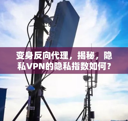变身反向代理,揭秘,隐私VPN的隐私指数如何?
