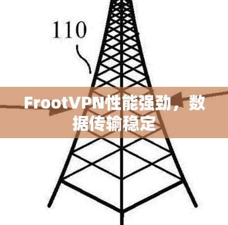 FrootVPN性能强劲,数据传输稳定