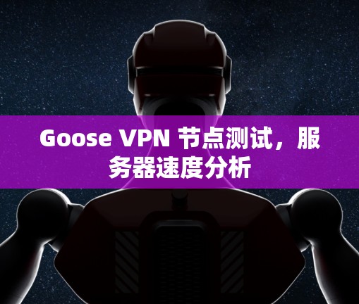 Goose VPN 节点测试,服务器速度分析