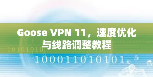 Goose VPN 11,速度优化与线路调整教程