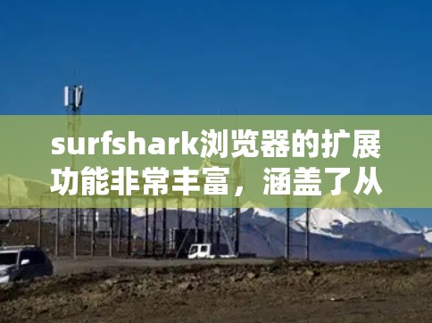 surfshark浏览器的扩展功能非常丰富,涵盖了从界面自定义到高级插件扩展,以及多平台支持。以下是对这些功能的详细介绍