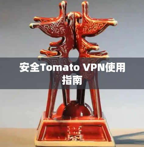 安全Tomato VPN使用指南