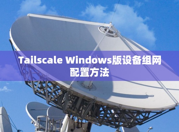 Tailscale Windows版设备组网配置方法