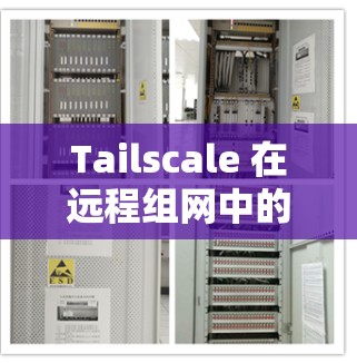 Tailscale 在远程组网中的体验可以从以下几个方面进行分析