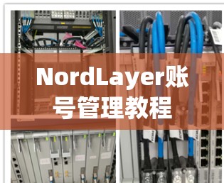 NordLayer账号管理教程 NordLayer账号管理教程