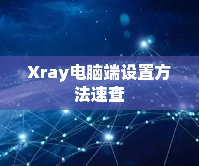 Xray电脑端设置方法速查