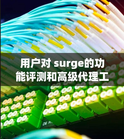用户对 surge的功能评测和高级代理工具进行了详细的反馈，主要集中在以下几点