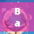 Barracuda VPN 研究,网络防护的创新解决方案