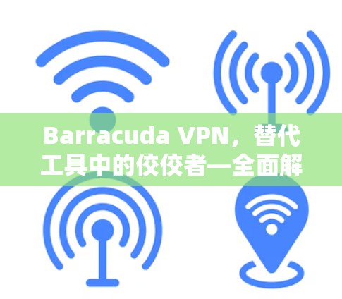 Barracuda VPN,替代工具中的佼佼者—全面解析其优势与局限