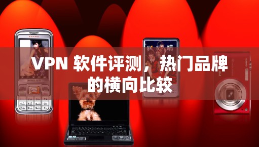 VPN 软件评测,热门品牌的横向比较