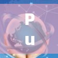 Pulse Secure 3 和 Pulse Secure 5 是两个近年来备受推荐的VPN软件,它们在安全性、功能性和价格上都有其优势。以下是对这两个软件的详细介绍和推荐