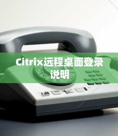 Citrix远程桌面登录说明