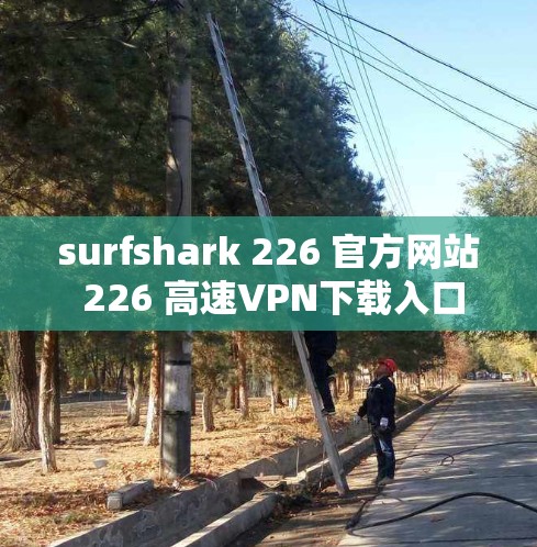 surfshark 226 官方网站 226 高速VPN下载入口