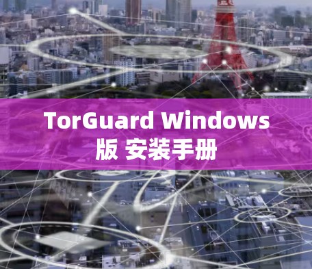 TorGuard Windows版 安装手册