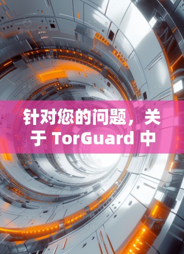 针对您的问题，关于 TorGuard 中国的 VPN 线路和稳定性，以下是详细的分析和建议