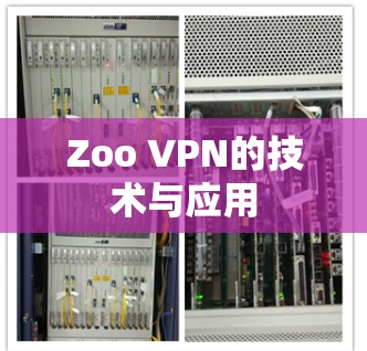 Zoo VPN的技术与应用