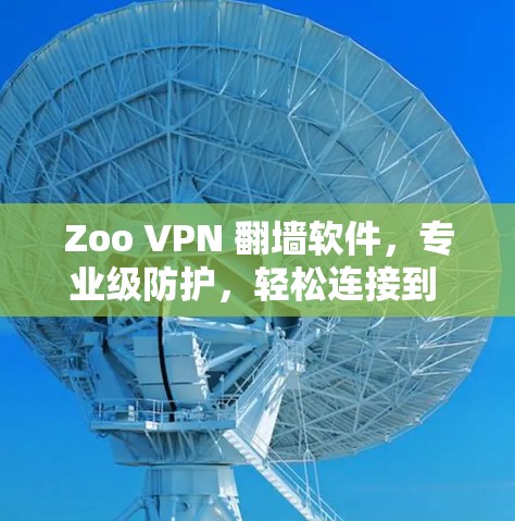 Zoo VPN <strong>翻墙软件</strong>，专业级防护，轻松连接到 Zoo