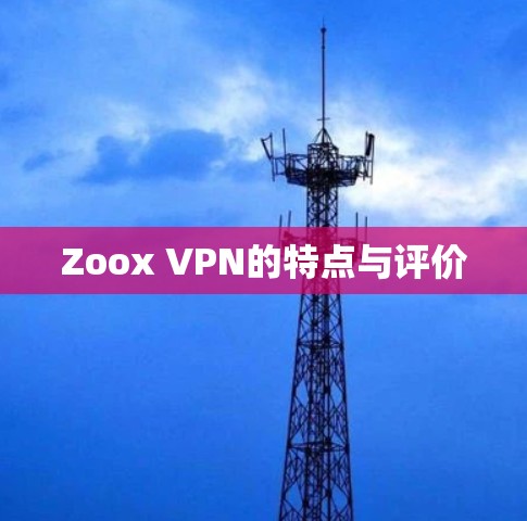 Zoox VPN的特点与评价