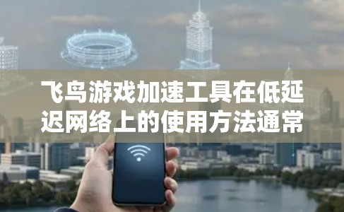 飞鸟游戏加速工具在低延迟网络上的使用方法通常包括以下步骤 飞鸟游戏加速工具在低延迟网络上的使用方法通常包括以下步骤