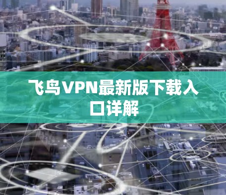 飞鸟VPN最新版下载入口详解