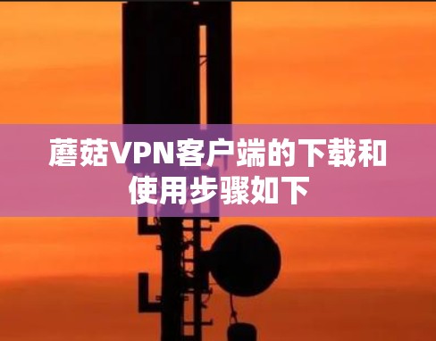 蘑菇VPN客户端的下载和使用步骤如下