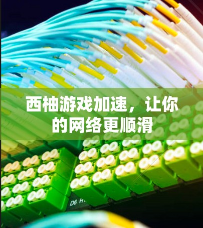 西柚游戏加速，让你的网络更顺滑