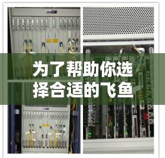 为了帮助你选择合适的飞鱼VPN的机场节点,以下是一个结构化的推荐和建议