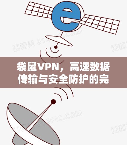 袋鼠VPN,高速数据传输与安全防护的完美结合