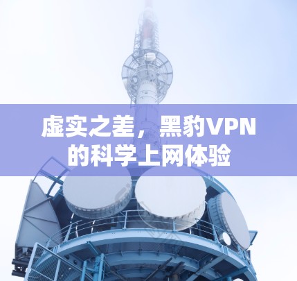 虚实之差,黑豹VPN的<strong>科学上网</strong>体验