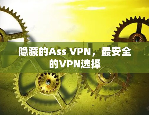 隐藏的Ass VPN,最安全的VPN选择 隐藏的Ass VPN,最安全的VPN选择