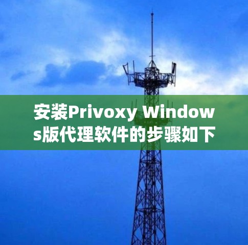 安装Privoxy Windows版代理软件的步骤如下