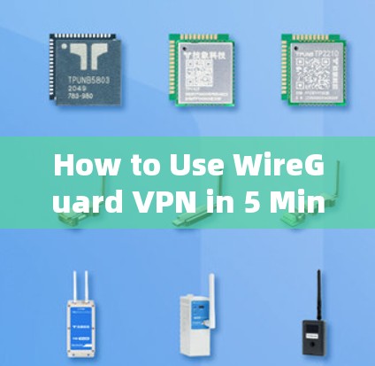How to Use WireGuard VPN in 5 Minutes:A Step-by-Step Guide