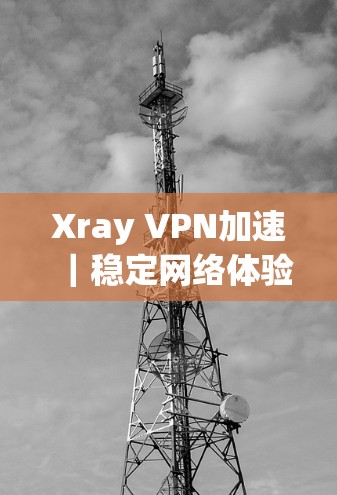 Xray VPN加速｜稳定网络体验